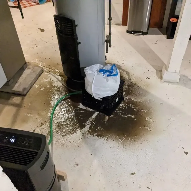 Sewage Backup Cleanup Service in Talmage, CA